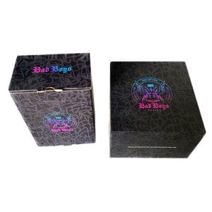 Untitled-1_0005_bad boys 2